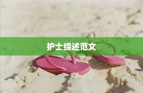 护士综述范文