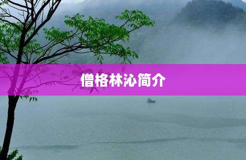 僧格林沁简介