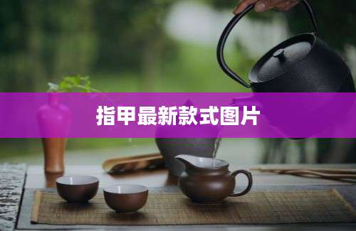 指甲最新款式图片