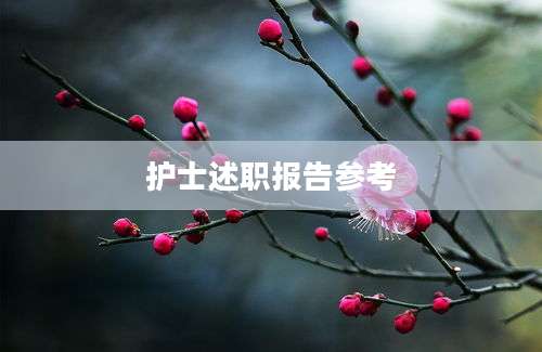 护士述职报告参考