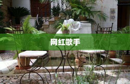 网红歌手