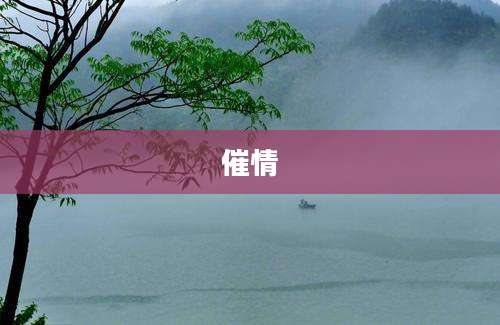 催情