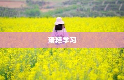 蛋糕学习