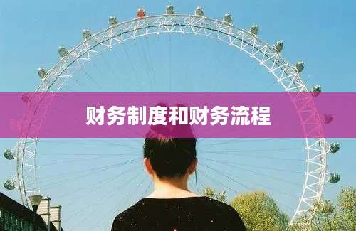 财务制度和财务流程