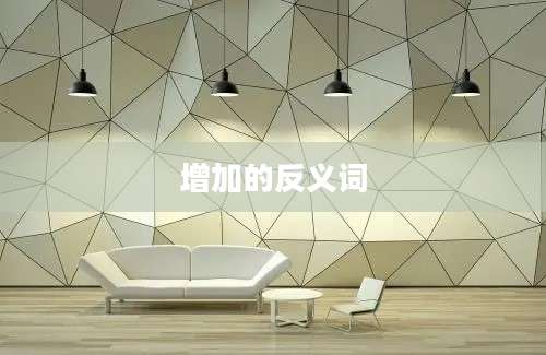 增加的反义词