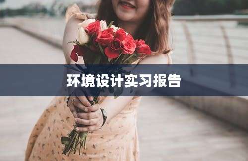环境设计实习报告
