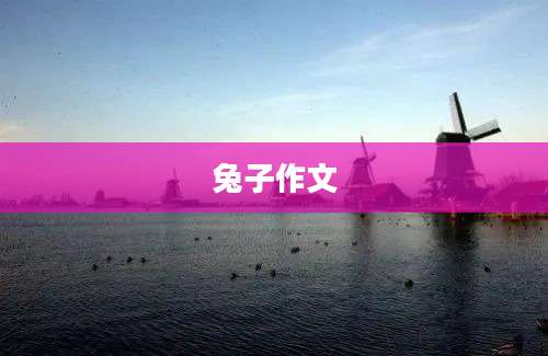 兔子作文