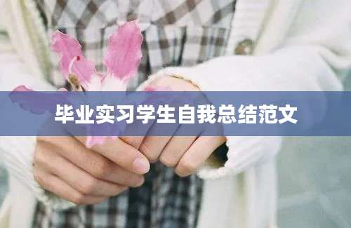 毕业实习学生自我总结范文