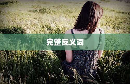 完整反义词
