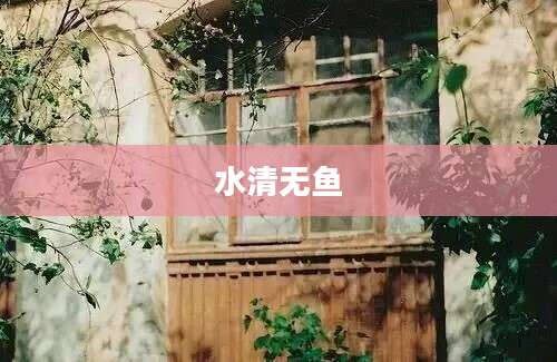 水清无鱼