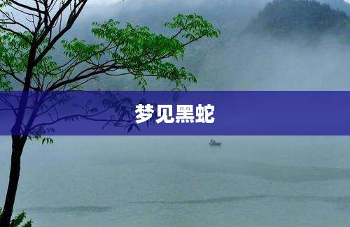梦见黑蛇