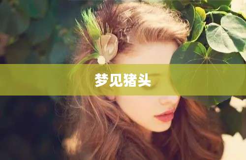 梦见猪头