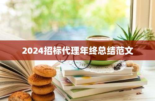 2024招标代理年终总结范文