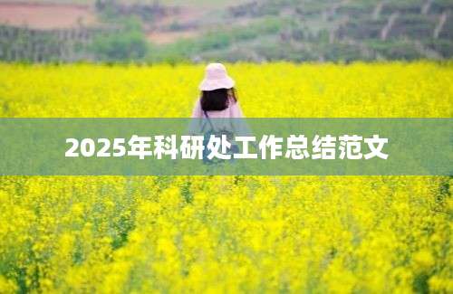 2025年科研处工作总结范文