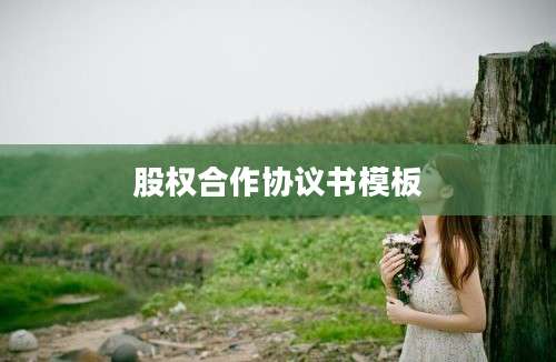 股权合作协议书模板