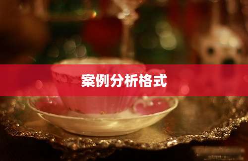 案例分析格式