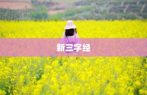 新三字经