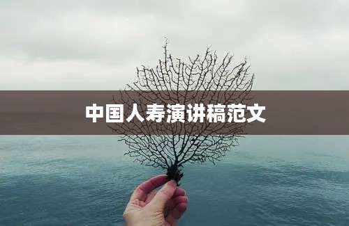 中国人寿演讲稿范文