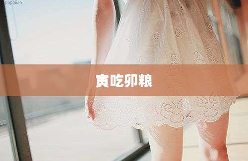 寅吃卯粮
