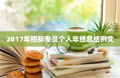 2017年招标专员个人年终总结例文