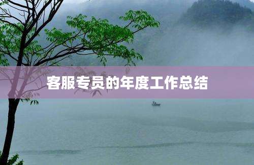 客服专员的年度工作总结