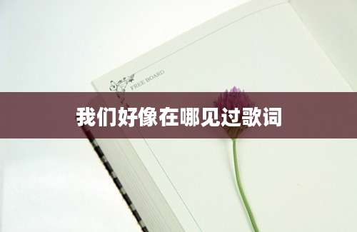 我们好像在哪见过歌词