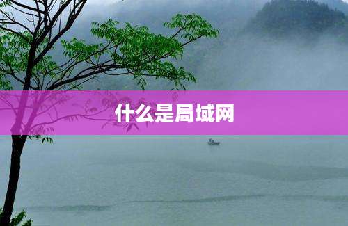 什么是局域网