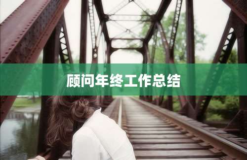 顾问年终工作总结