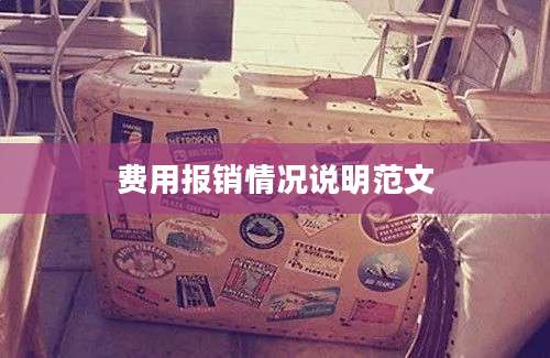 费用报销情况说明范文