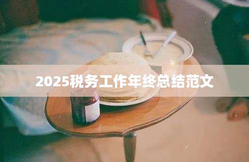 2025税务工作年终总结范文