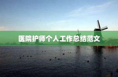 医院护师个人工作总结范文