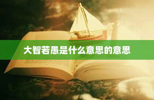 大智若愚是什么意思的意思