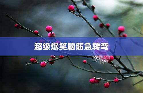 超级爆笑脑筋急转弯