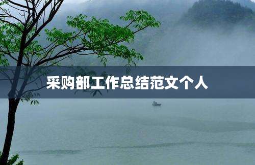 采购部工作总结范文个人