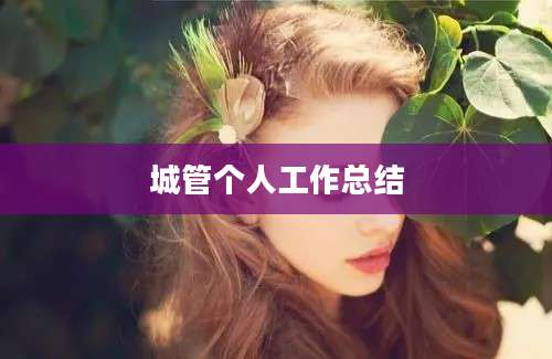 城管个人工作总结