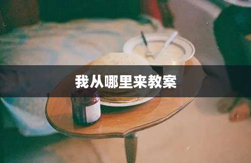 我从哪里来教案