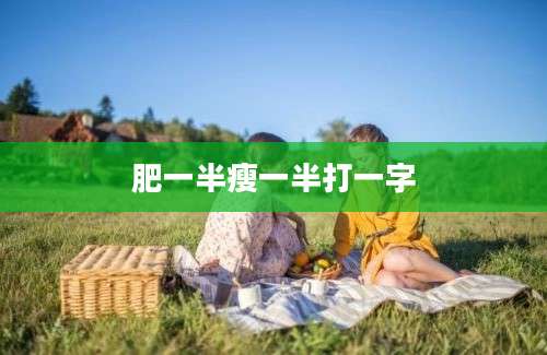 肥一半瘦一半打一字