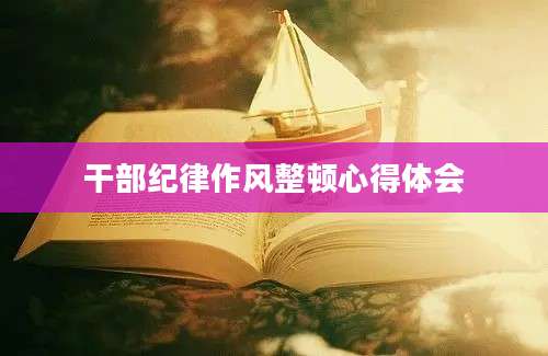 干部纪律作风整顿心得体会
