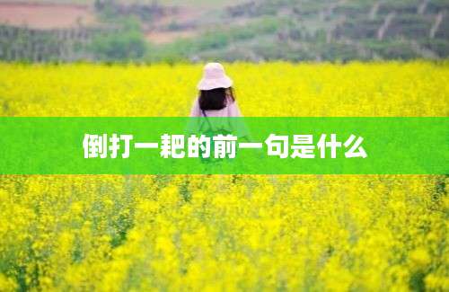 倒打一耙的前一句是什么