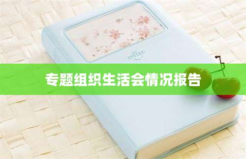 专题组织生活会情况报告