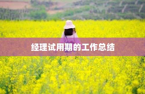 经理试用期的工作总结