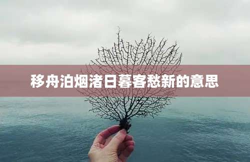 移舟泊烟渚日暮客愁新的意思