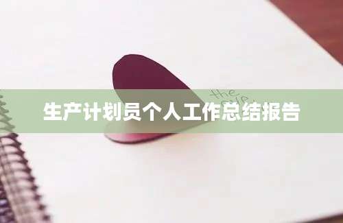 生产计划员个人工作总结报告