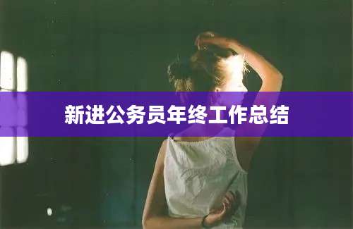 新进公务员年终工作总结