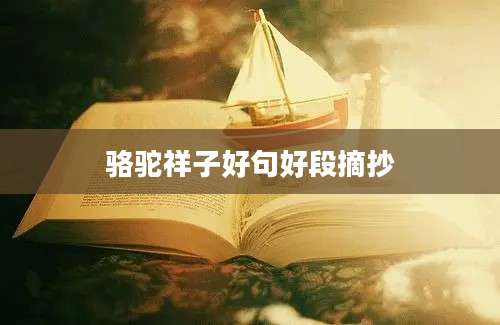 骆驼祥子好句好段摘抄