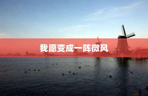 我愿变成一阵微风