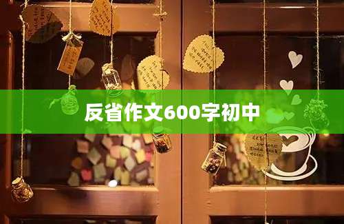 反省作文600字初中