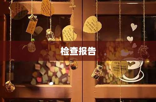 检查报告