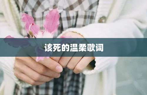 该死的温柔歌词