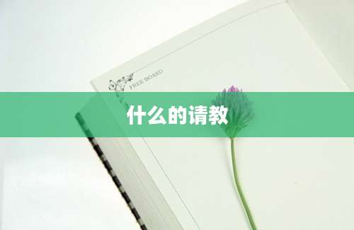 什么的请教